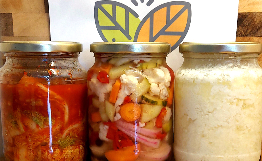 Fermentation Workshops